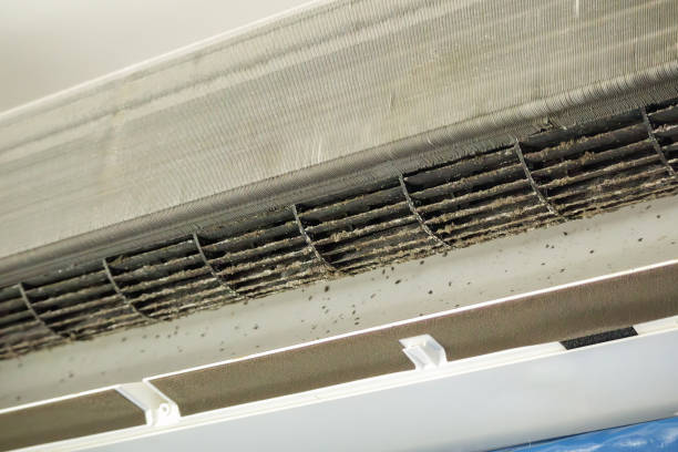 Best HVAC System Cleaning  in Brusly, LA