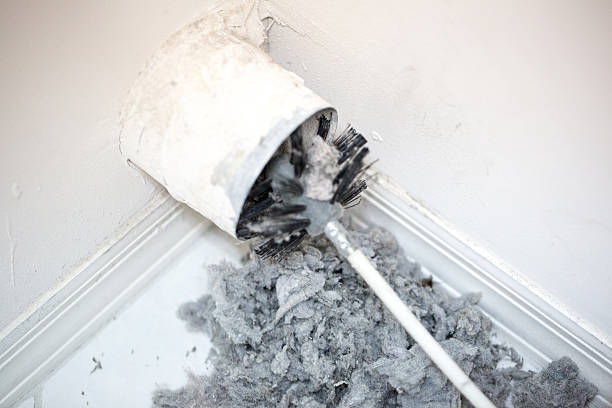 Best Air Duct Cleaning Near Me  in Brusly, LA
